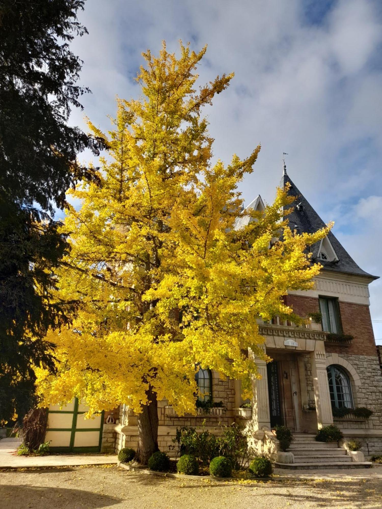 Villa Les Iris Saint-Felix  Екстер'єр фото